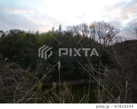 旧知多高校近くの池 旧知多高校近くの池 97810344