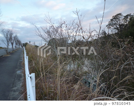 知多市早朝道路 97810345