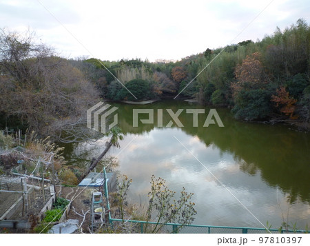 旧知多高等学校近くの池 旧知多高等学校近くの池 97810397