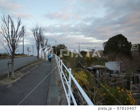 旧知多高等学校近くの池 旧知多高等学校近くの池 97810407