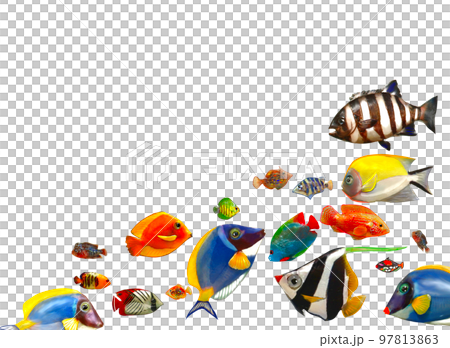 群れる海底の魚たち 97813863