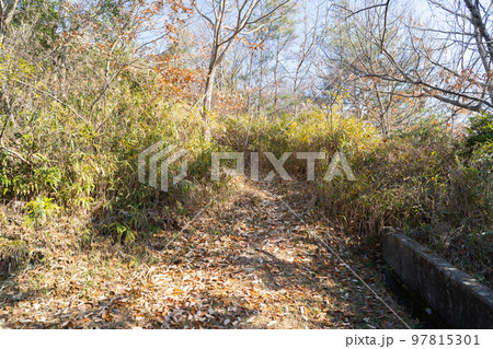 白髭神社の裏にある桶居山の登山口(播磨アルプス) 白髭神社の裏にある桶居山の登山口(播磨アルプス) 97815301
