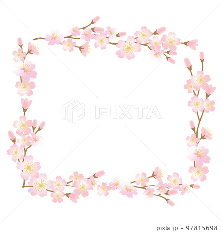 桜の花のフレームイラスト 97815698
