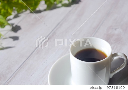 ブラックコーヒーと観葉植物 ブラックコーヒーと観葉植物 97816100