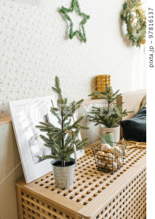 Christmas tree in a pot on the bedside table in the bedroom in Scandinavian style Christmas tree in a pot on the bedside table in the bedroom in Scandinavian style 97816137