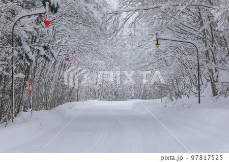 【北海道美瑛町】雪景色の道 97817525