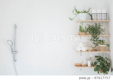 Bathroom wooden shelves eco friendly body care tools with potted plant neatly arrangement storage 97817757
