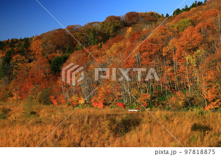 岩手県奥州市 紅葉の奥州湖 岩手県奥州市 紅葉の奥州湖 97818875