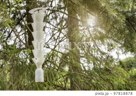 trap for insects and beetles. A trap for pests and insects hangs on a tree in the garden. Catching a bark beetle with a pheromone trap 97818878