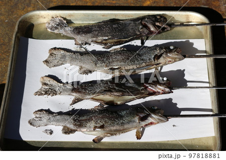 魚の串焼き 97818881