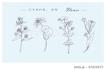 シンプルな花のイラストセット 97820873