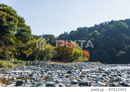 【オートキャンプ場沿いの道志川と紅葉】 【オートキャンプ場沿いの道志川と紅葉】 97822403