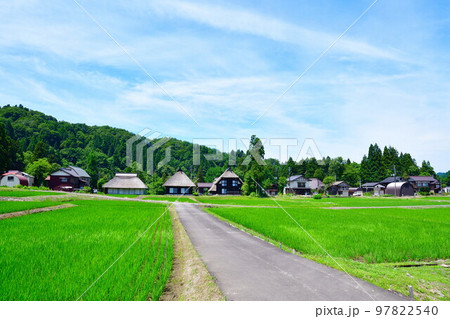 初夏の荻ノ島かやぶき環状集落（新潟県） 97822540