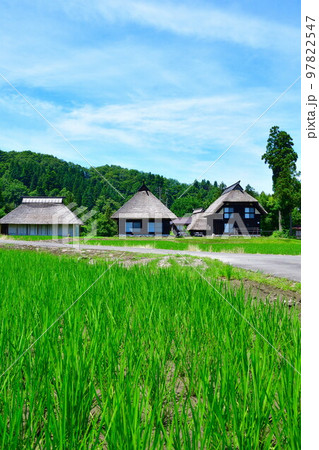 初夏の荻ノ島かやぶき環状集落（新潟県） 97822547