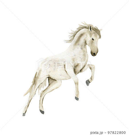 Watercolor hand drawn cute white horse on the white background. Running horse illustration. Watercolor painting of a galloping horse. Perfect for greetings card, poster, invitation and party decor. Watercolor hand drawn cute white horse on the white background. Running horse illustration. Watercolor painting of a galloping horse. Perfect for greetings card, poster, invitation and party decor. 97822800