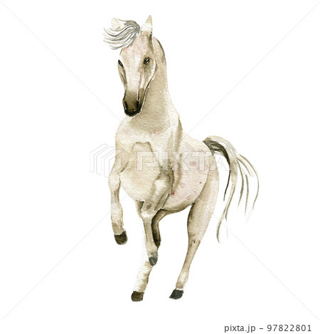 Watercolor hand drawn cute white horse on the white background. Running horse illustration. Watercolor painting of a galloping horse. Perfect for greetings card, poster, invitation and party decor. 97822801