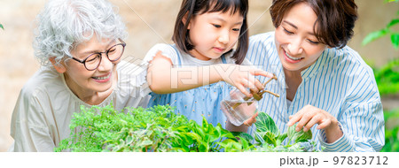 ガーデニングする三世代のファミリー 97823712