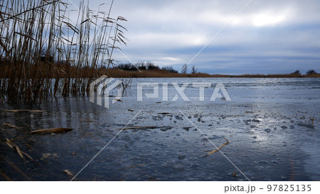The lake is partially covered with ice. There are reeds swaying on the shore. Gloomy sky  97825135