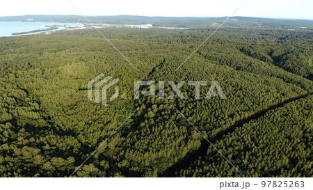 Nature on the Amur River in Russia. Aerial view. 97825263