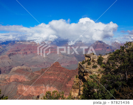 Grand canyon national park south rim. High quality photo Grand canyon national park south rim. High quality photo 97825436