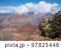 Grand canyon national park south rim. High quality photo 97825446