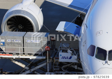 コンテナの積み下ろしをする旅客機　羽田空港　 97825639