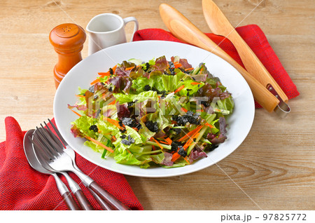 ドレッシングはかけていません。チョレギサラダ、韓国風サラダ、サニーレタスのサラダ。 ドレッシングはかけていません。チョレギサラダ、韓国風サラダ、サニーレタスのサラダ。 97825772