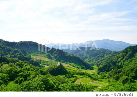 清水の棚田（新潟県） 97826633