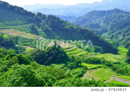 清水の棚田(新潟県) 清水の棚田(新潟県) 97826635