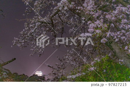 愛知・名古屋城と桜 愛知・名古屋城と桜 97827215