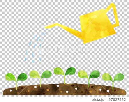 Illustration of watering plant buds (watercolor version) Illustration of watering plant buds (watercolor version) 97827232