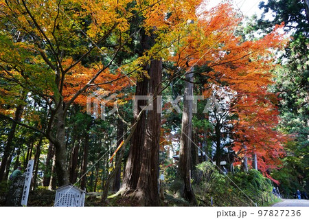 世界遺産 関山中尊寺 世界遺産 関山中尊寺 97827236