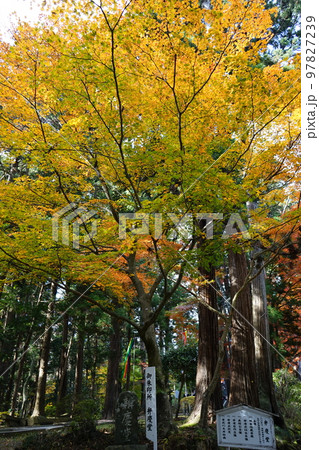 世界遺産 関山中尊寺 世界遺産 関山中尊寺 97827239