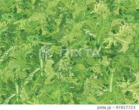 フレッシュなサラダの精密で美味しそうなリアルテイストの手描きイラスト フレッシュなサラダの精密で美味しそうなリアルテイストの手描きイラスト 97827723