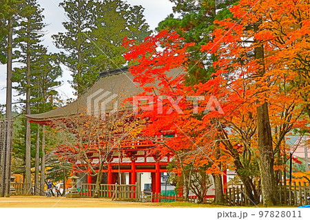 高野山金剛峯寺中門 高野山金剛峯寺中門 97828011