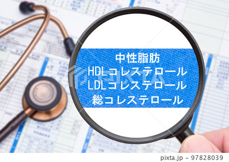 健康診断（中性脂肪　HDL　LDL　総コレステロール） 97828039