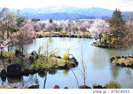 銭淵公園・観桜会 97828683