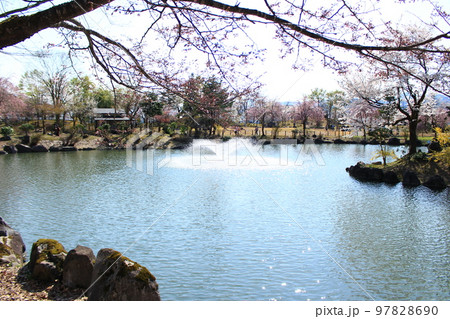 銭淵公園・観桜会 銭淵公園・観桜会 97828690