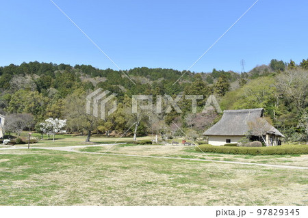 茅葺屋根の小屋春爛漫 茅葺屋根の小屋春爛漫 97829345