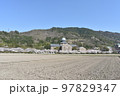 安土城考古博物館春爛漫 97829347