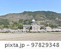 安土城考古博物館春爛漫 97829348