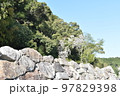 桜の木と石垣春爛漫 97829398