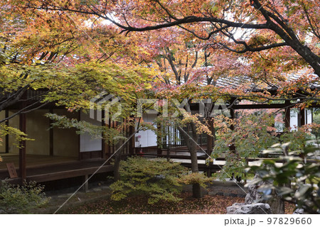 潮音庭 建仁寺 潮音庭 建仁寺 97829660