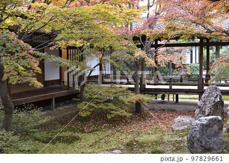 潮音庭 建仁寺 潮音庭 建仁寺 97829661