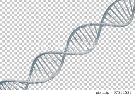DNAの二重螺旋のイメージ 97831522