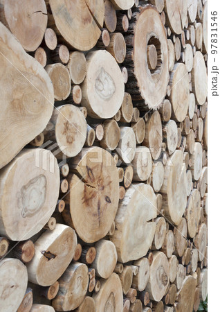 Wooden slabs wall.Set of log slices.Abstract backdrop. 97831546