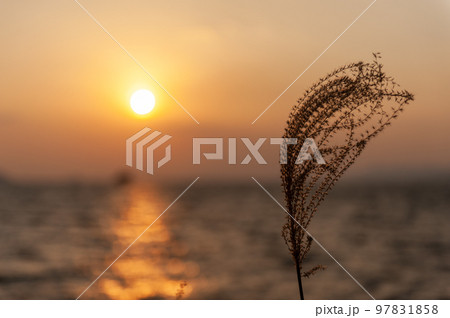 Shiraishi Island in winter Shiraishi Island in winter 97831858