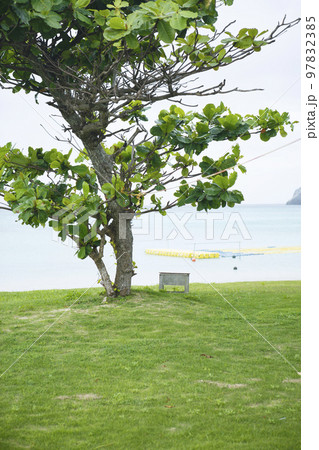 渡名喜島 あがり浜の風景、夏 渡名喜島 あがり浜の風景、夏 97832385