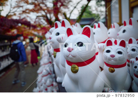 豪徳寺 招き猫 97832950