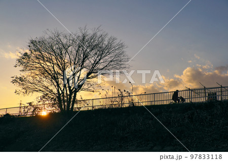 夕暮れ時の帰り道 97833118